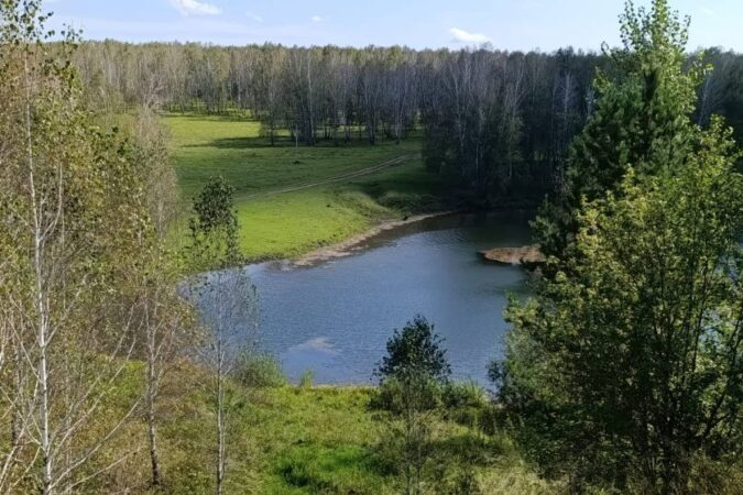 Прогноз погоды в Новосибирске на завтра – 27 августа