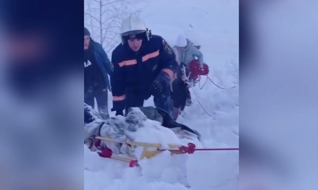 В Новосибирске спасатели помогли выбраться из оврага ребенку с травмированной ногой