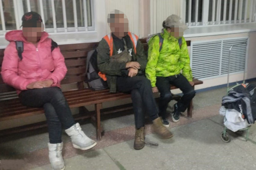 В Новосибирске бомжи разобрали рельсы ради кошек и выпивки