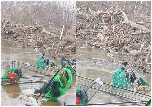 Риск затопления могил Героев СВО на Южном кладбище прокомментировали в гаражных кооперативах