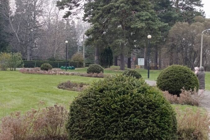 Погода на завтра – 26 октября  – в Новосибирске