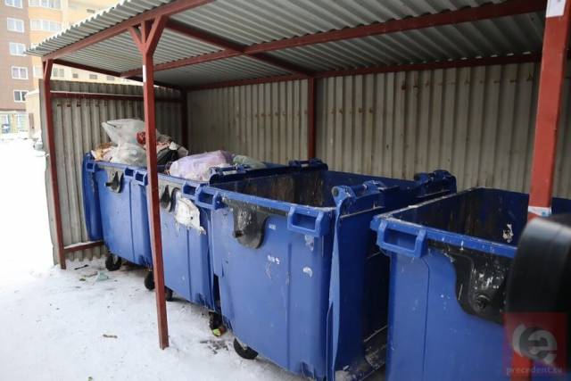 В Новосибирске задержали мать новорожденного