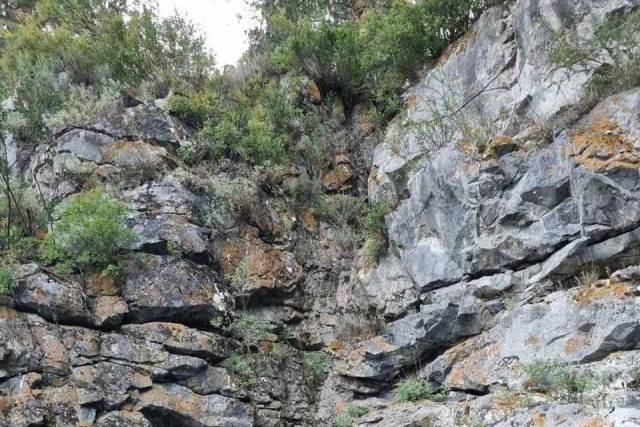 Житель Новосибирска погиб во время отдыха у реки Катунь на Алтае