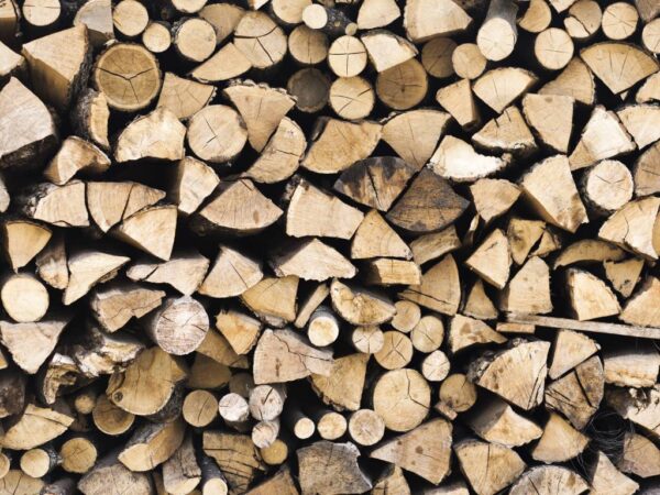 Тройной тариф: директора лесхоза в Новосибирской области оштрафовали за продажу дров по завышенным ценам