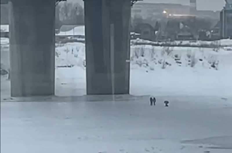В Новосибирске под Димитровским мостом дети едва не провалились под лед