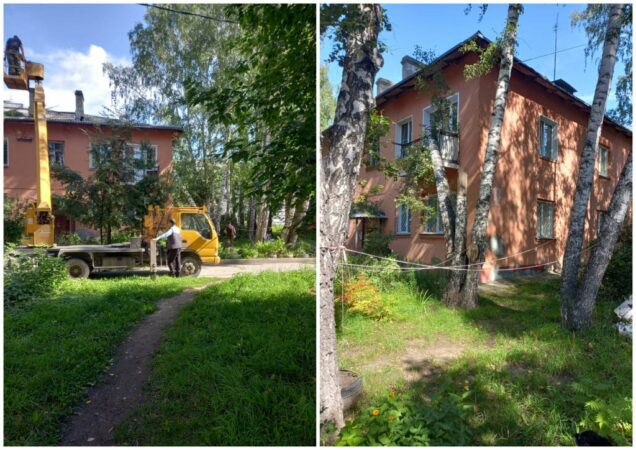 В Новосибирске убрали опасное для жизни жильцов многоквартирного дома дерево