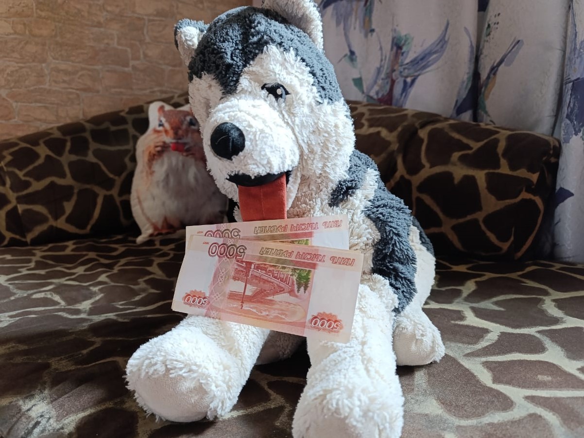 Как оформить единовременную выплату при рождении ребенка – рассказали в Социальном фонде