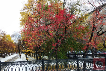 Плюсовая температура с дождем надвигаются на Новосибирск