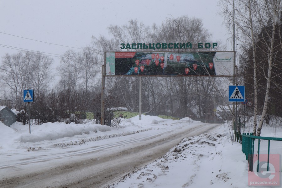 Правительство Новосибирской области опубликовало новые границы предполагаемой Заельцовской ООПТ