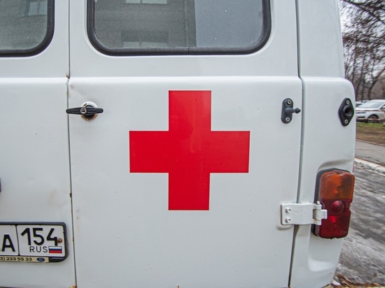 В больницах Новосибирской области – 54 человека с подозрением на клещевой энцефалит