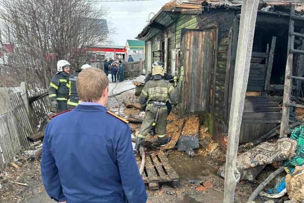 В Новосибирской области с 24 апреля введут особый противопожарный режим