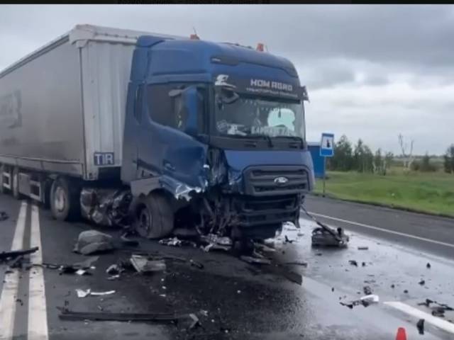 Новосибирцы погибли в массовом ДТП на трассе под Омском