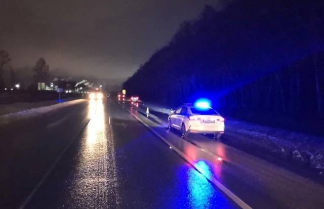 В Новосибирской области грузовик насмерть сбил пешехода