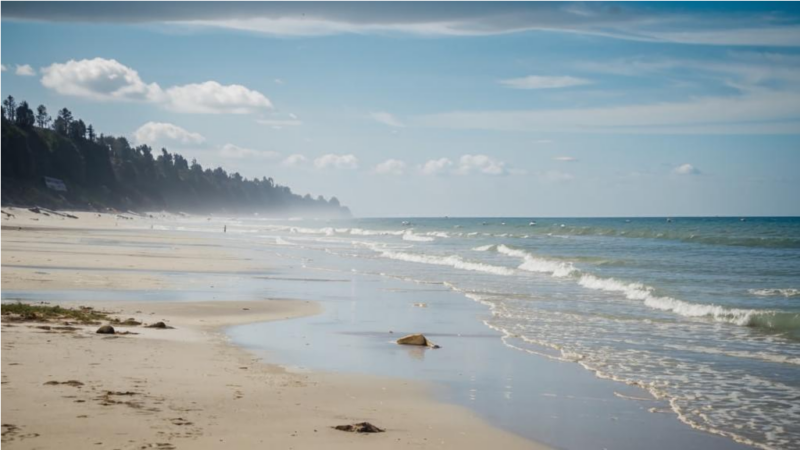 В Новосибирске в аномальную жару погибли три человека