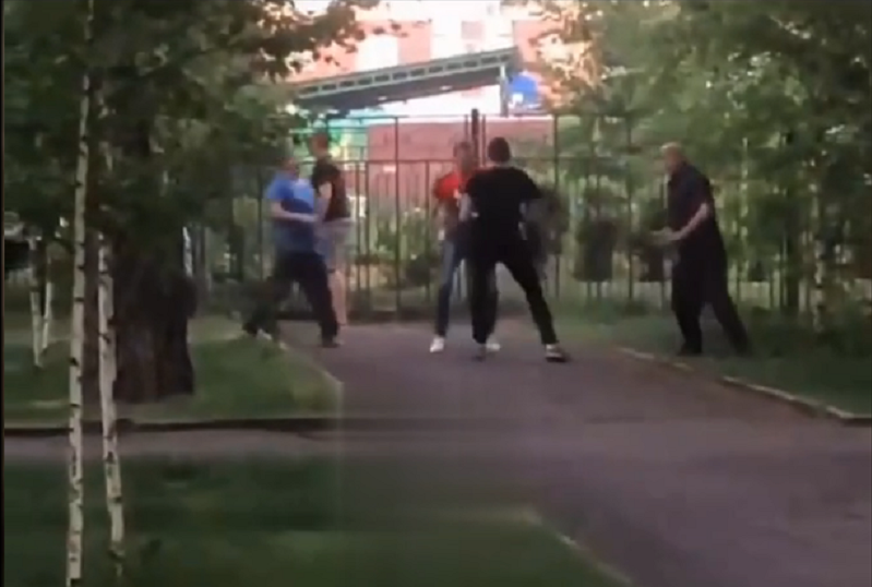 В Новосибирске произошла массовая драка из-за нападения собаки на людей