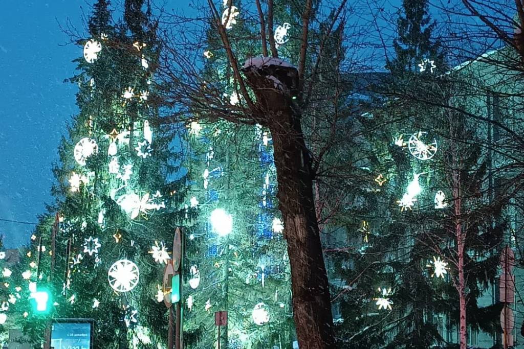 Синоптики изменили морозный прогноз на новогодние праздники  в Новосибирске