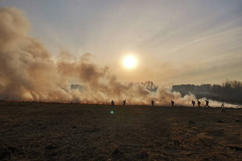 В Новосибирской области горит Кирзинский заказник