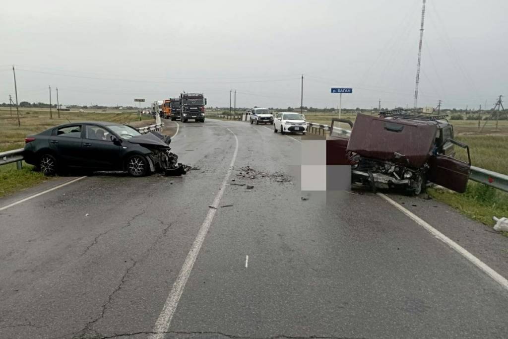 В Баганском районе Новосибирской области произошло смертельное ДТП