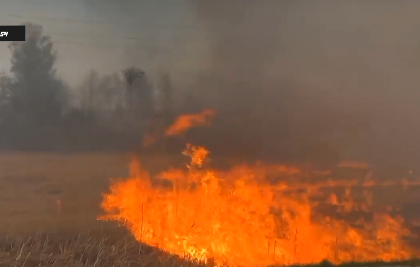 В Новосибирской области в нескольких населенных пунктах горит сухая трава