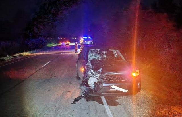 В Новосибирской области водитель иномарки насмерть сбил пешехода