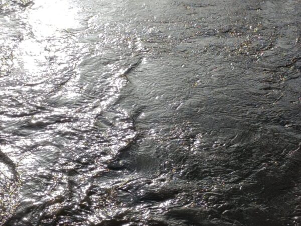 Больше  80 дорог подтоплено талыми водами в Новосибирской области