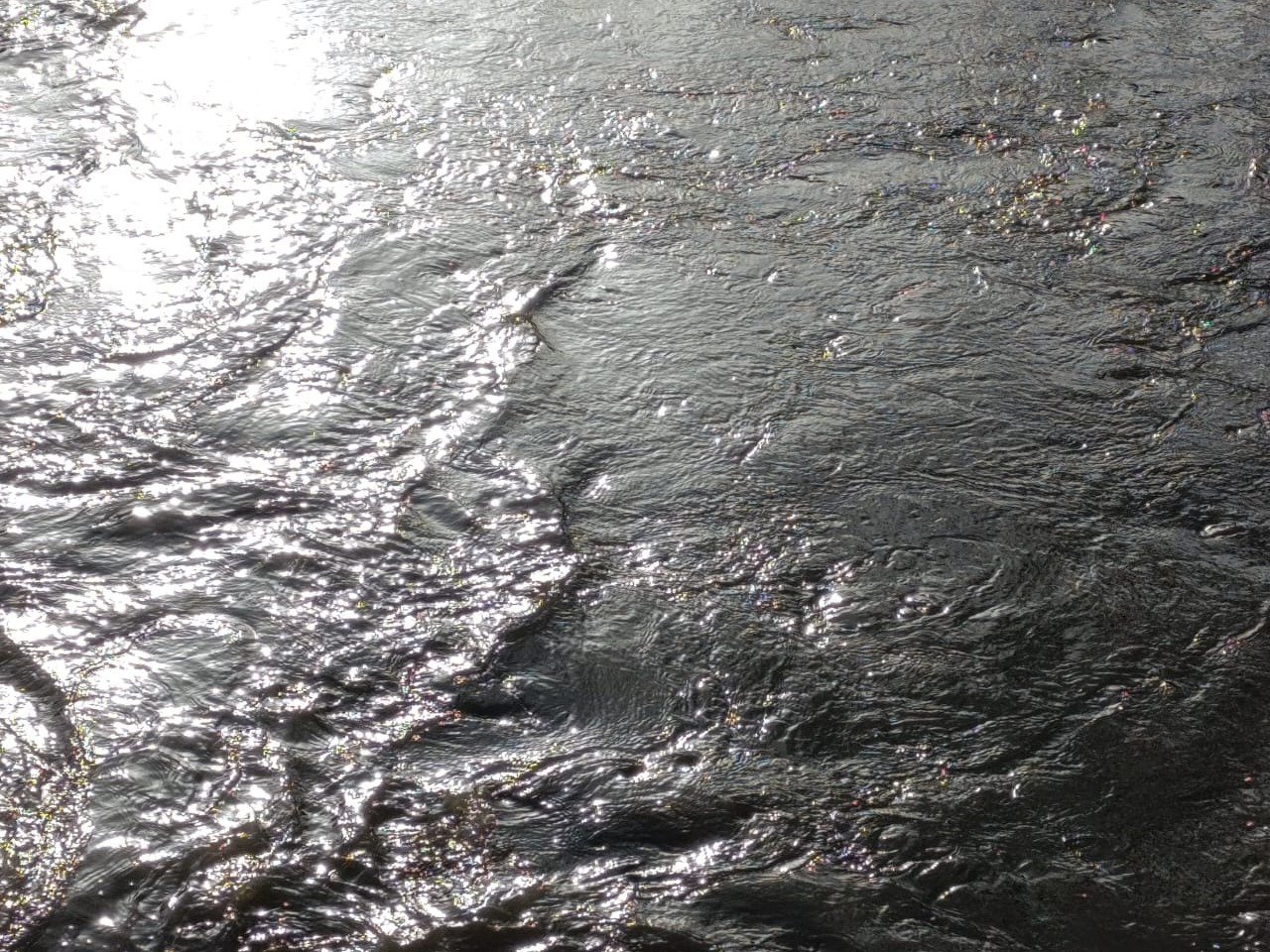 Больше  80 дорог подтоплено талыми водами в Новосибирской области