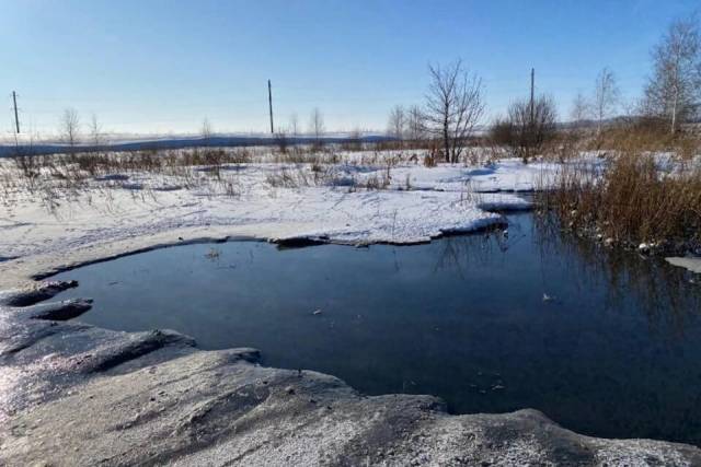 Под Новосибирском Россельхознадзор обнаружил участок земли