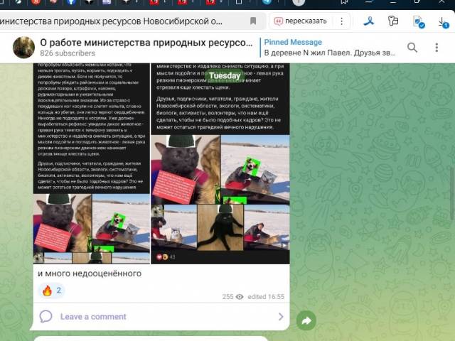 «Поток графомании?» – в соцсетях критикуют стилистику в официальном телеграм-канале минприроды