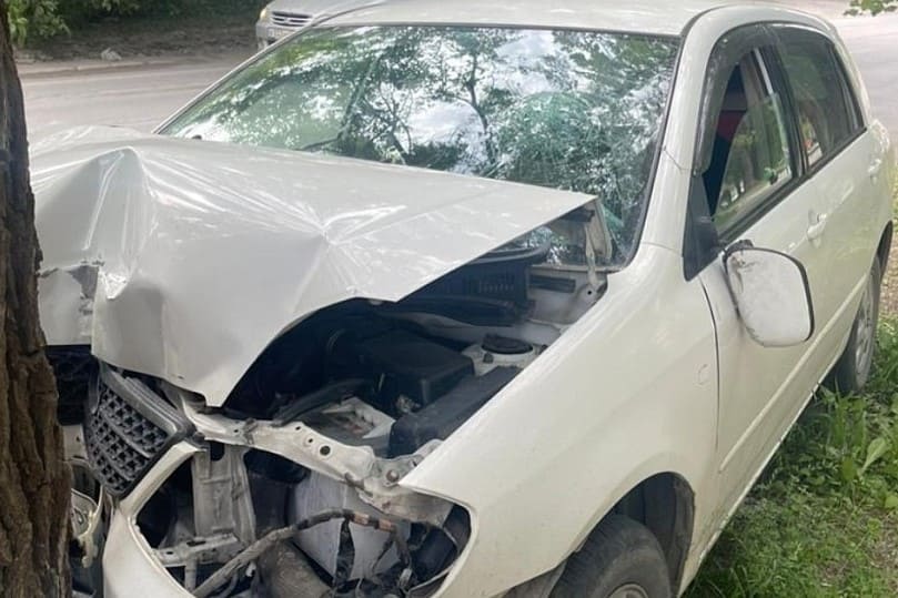 Два малыша пострадали при столкновении иномарки с деревом в Новосибирске