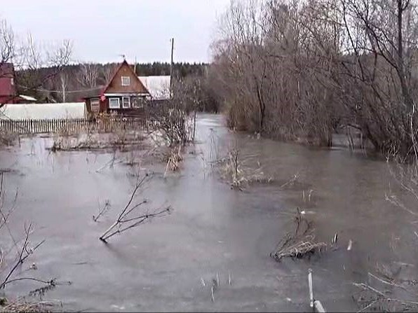 Свыше 200 дачных и приусадебных участков подтоплено в Новосибирской области