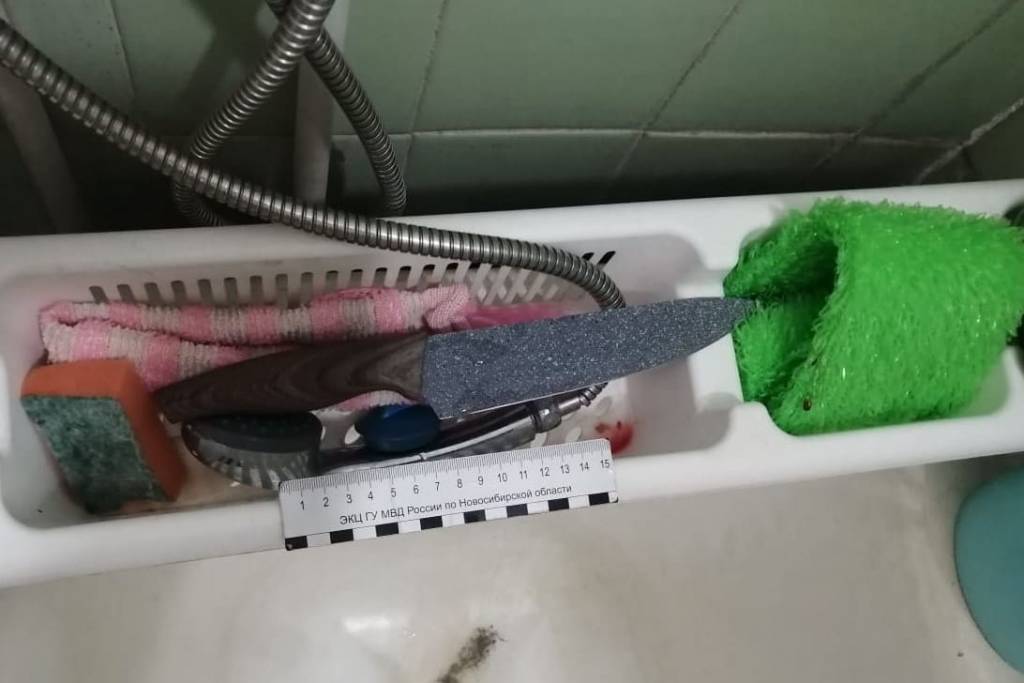 В Новосибирской области 62-летняя женщина зарезала подругу после ссоры