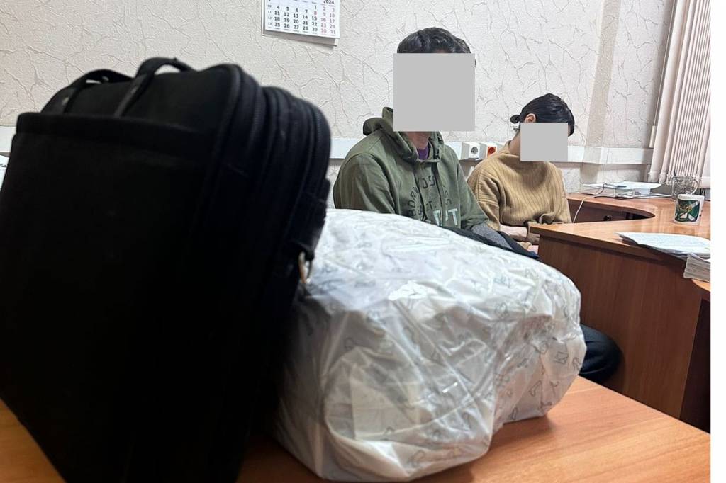 В Новосибирской области сотрудники ФСБ пресекли деятельность организатора контрабанды древесины