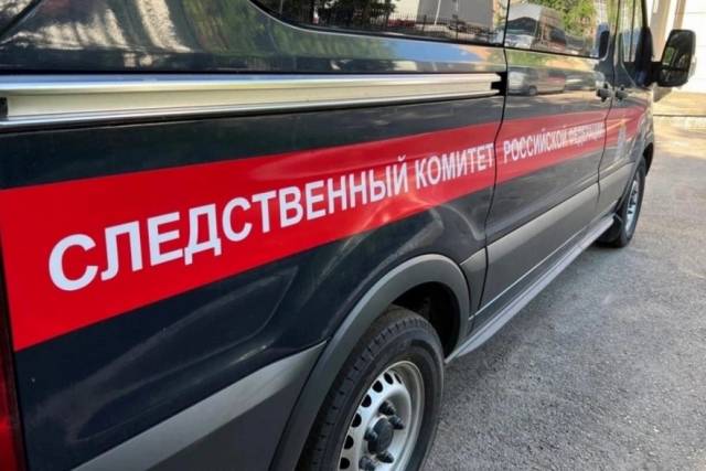Бастрыкин взял на контроль дело о нападении мигрантов с лопатами на новосибирцев