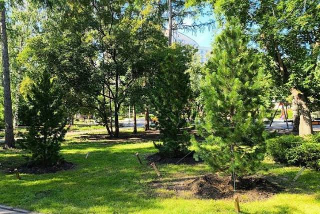 В Новосибирске подрядчики сорвали работы по ремонту в скверах