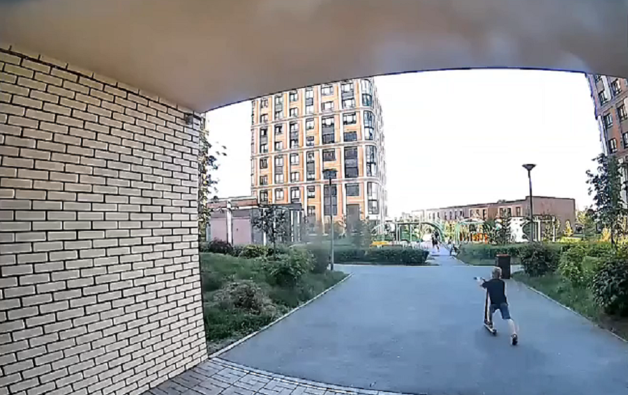 В Новосибирске собака напала на ребенка с самокатом