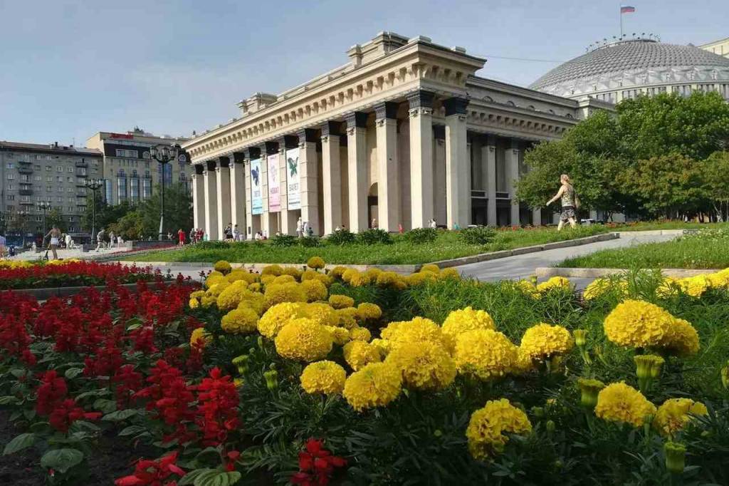 В Новосибирске в нынешнем году посадят более 300 тысяч цветов