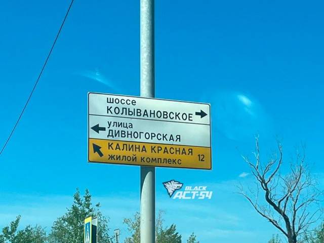 Очередной безграмотный дорожный указатель заметили в Новосибирске