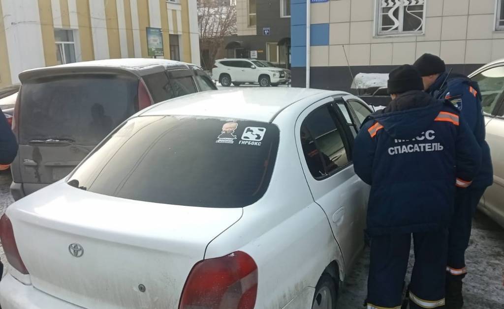 В Новосибирске спасли заблокированного в автомобиле младенца