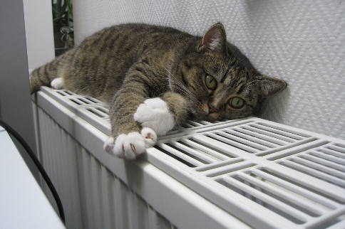 109 зданий остались без тепла на сутки в Новосибирске