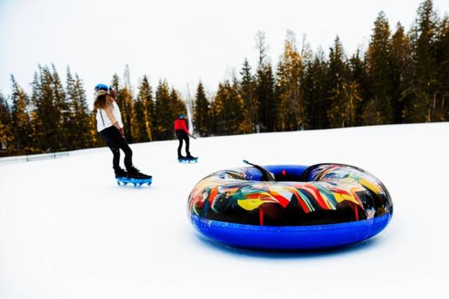 Под Новосибирском девочки-подростки на плюшке на скорости влетели в дерево