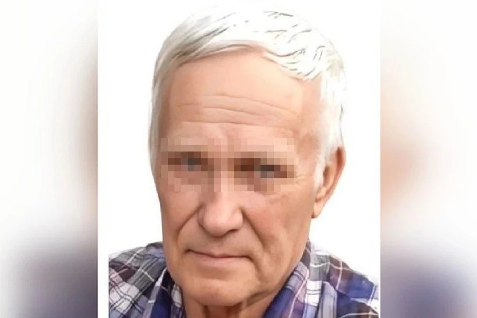 В Новосибирской области нашли живым пропавшего 80-летнего пенсионера