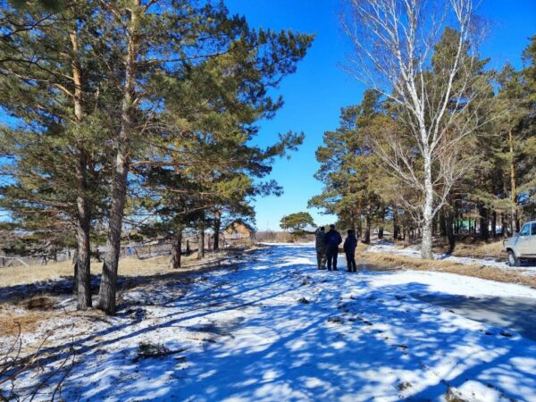Под Новосибирском построят центр для лечения и реабилитации диких животных