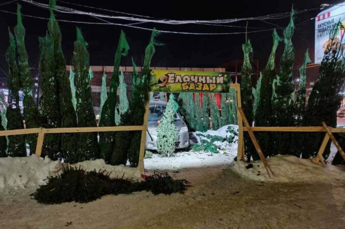 В Новосибирск к Новому году привезли 5 тысяч хвойных веток