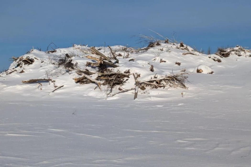 6 несанкционированных свалок обнаружили в Новосибирской области