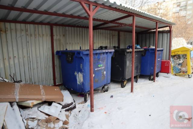 Мэрия Новосибирска оставит на контроле вывоз мусора в городе