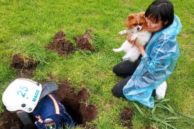 Спасатели вызволили маленькую собачку из-под земли в Новосибирске
