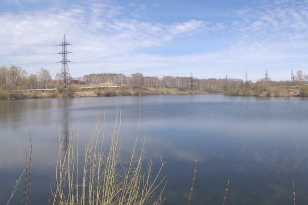 Жители Новосибирска требуют наказать тех