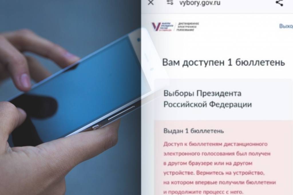 Новосибирец не смог дистанционно проголосовать за президента РФ
