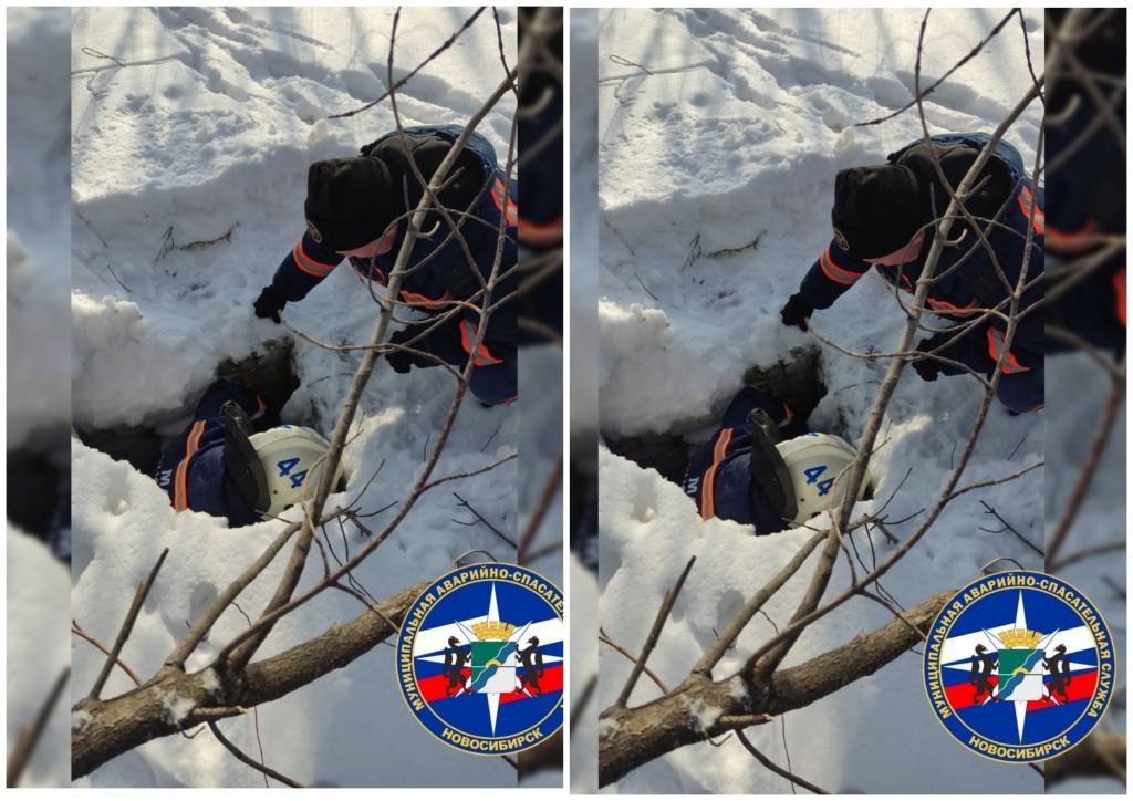 В Новосибирске спасатели МАСС спали провалившегося в погреб щенка