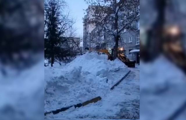 В Новосибирске трактор сломал живое дерево во время уборки снега во дворе
